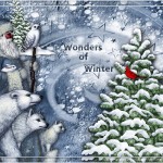 wonders of winter 2