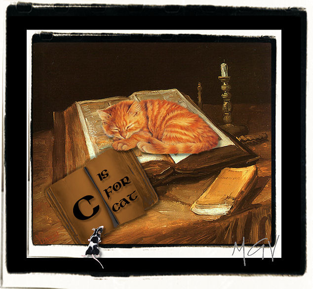 C is for Cat