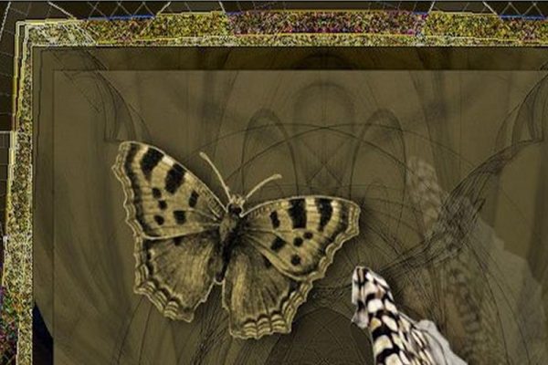Happiness is a butterfly…