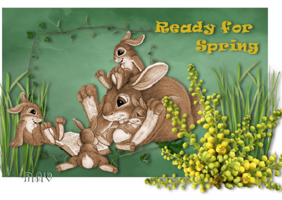 Ready for Spring…?