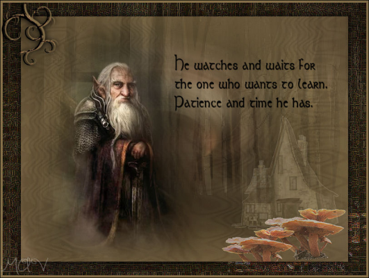 He Watches and Waits!