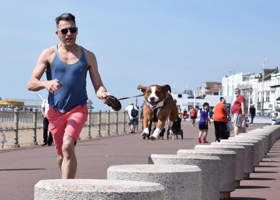 Dog Ownership Linked to Decreased Heart Risk