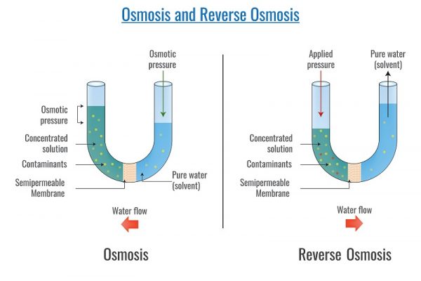 The Science of Reverse Osmosis
