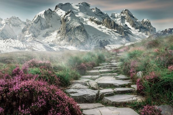 Blazing Your Trail