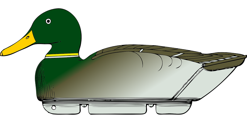 Foie Gras