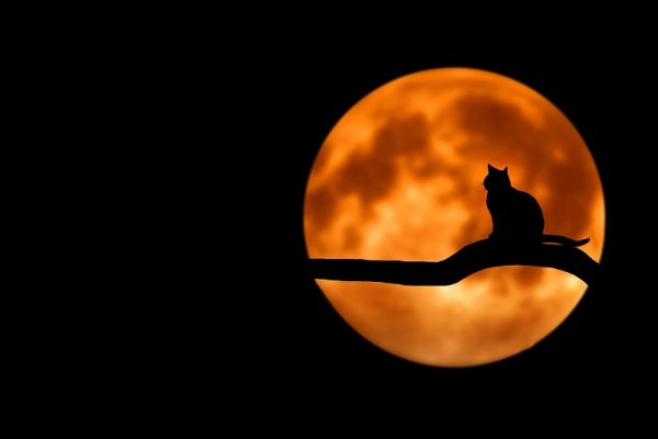 Top Advice for Coping with Night Shifts