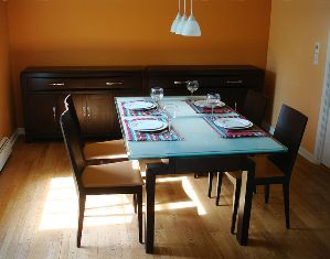 Natural and Home Remedy Options for House Cleaning