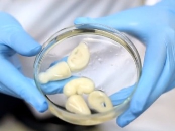 Living Kidneys Printed in 3D by Chinese Researchers