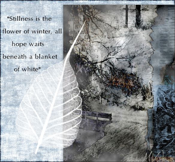 Stillness is the flower of winter