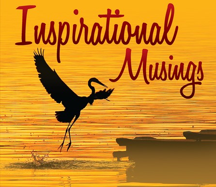 Inspirational Musings: Insights Through Healing