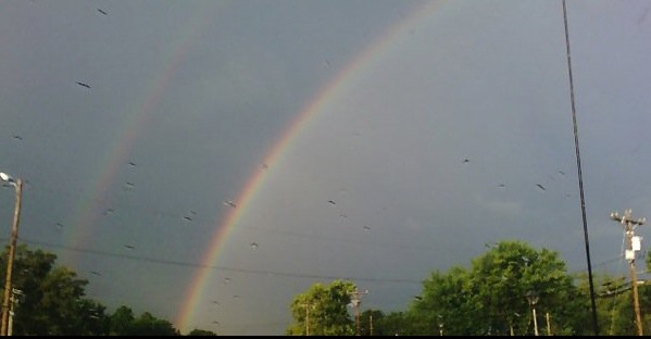 Heavenly Rainbow