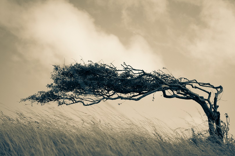 Resilience