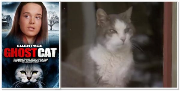 Ghost Cat (2004)