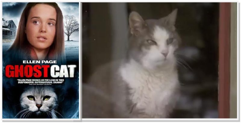 Ghost Cat (2004)